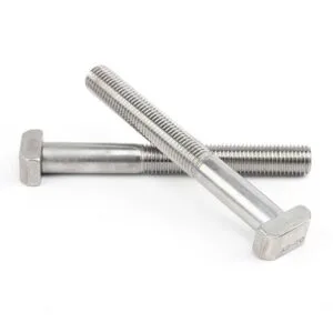 304 Stainless Steel T-head Bolts
