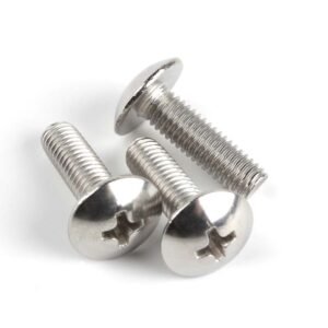 Cross Recessed Mushroom Screws