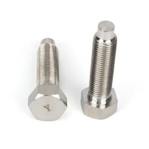 Hastelloy C-276 Hex Bolts with Dog Point