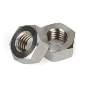 Hastelloy C22 Hex Nuts DIN934