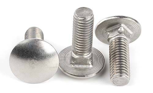 SS Cup Head Square Neck Bolts DIN603