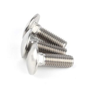 SS Cup Head Square Neck Bolts DIN603