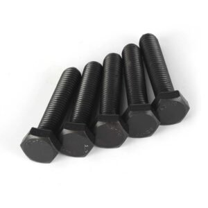 SS Black Oxide Hexagon Bolt DIN933