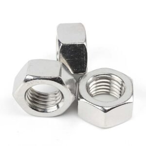 Stainless Steel Hex Nuts DIN934