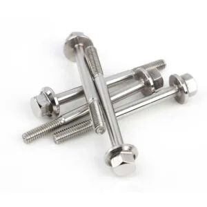 Stainless Steel Hexagon Flange Bolts