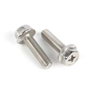 Stainless Steel Phillips Hex Flange Bolt