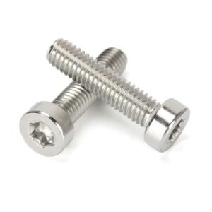 Stainless Steel Torx Low Head Screw