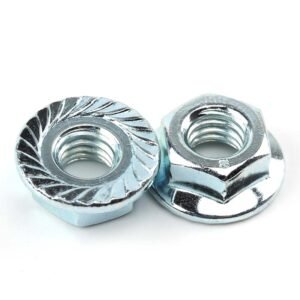 Hexagon Flange Nuts