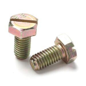 Slotted Hex Head Bolts
