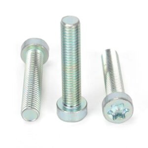 Torx Socket Low Head Cup Screw