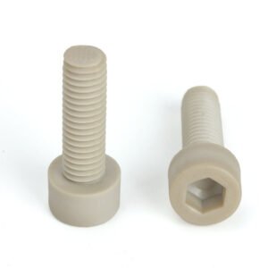 PPS Socket Head Cap Screw